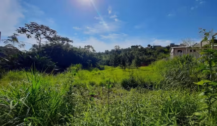Terreno à venda, 5000 m² por R$ 1.650.000,00 - Fortaleza Alta - Blumenau/SC