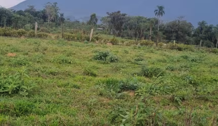 Terreno 300 metros Sul do Rio - Santo Amaro