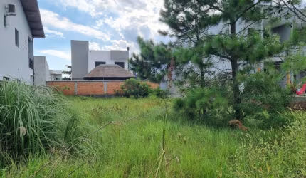 Terreno praia  na pinheira