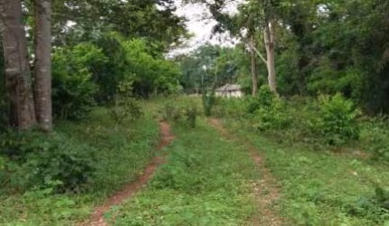 fazendinha de 170 hectares há 65 km da cidade de Nova Xavantina