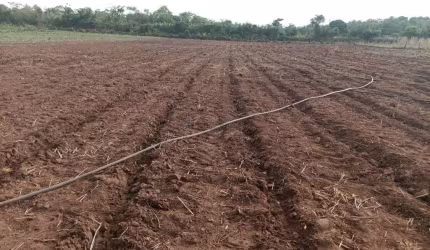 sitio de 34 hectares na região do Raizama entre jangada e Nobres