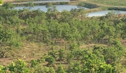 EXCELENTE FAZENDA A 20 KM DE CUIABA