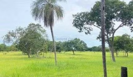 LINDO SITIO A VENDA 50 HEC BEIRA RIO CUIABA