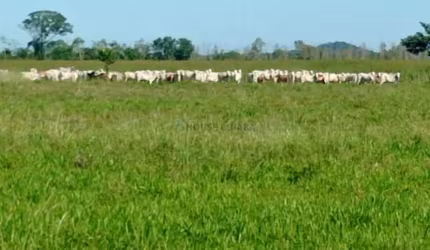 fazenda 1994 hectares documentada Cuiabá mt