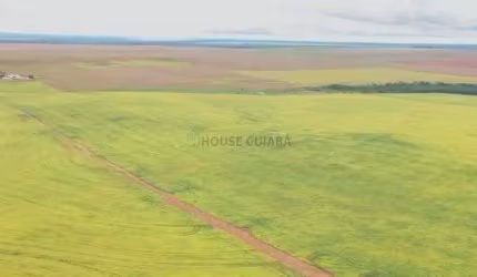 Fazenda à venda na Fazenda Diamantino, 1, Zona Rural, Diamantino, 2 m2 por R$ 2.000.000