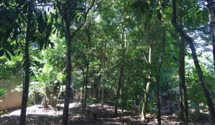 Terreno à venda na Jardim da Mata, 1, Centro, Chapada dos Guimarães por R$ 400.000