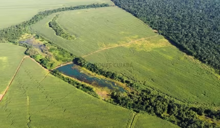 FAZENDA A VENDA NO MUNICíPIO DE BRASNORTE.  MATO GROSSO