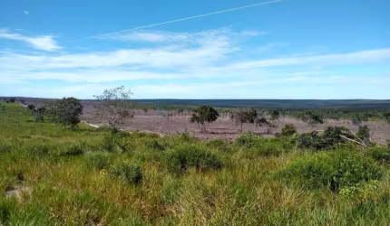 Fazenda à Venda Caceres  2.350 hectares  com 1.000 hectares formada