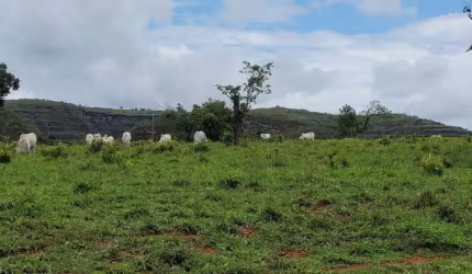 Fazenda à venda na Área rural, 1, Centro, Dom Aquino, 817 m2 por R$ 13.000.000