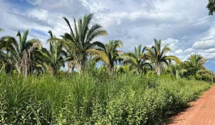 sítio com 55 hectares na região da cidade de Nobres MT
