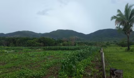 Chácara / sítio com 3 quartos à venda na ZONA RURAL, SN, Zona Rural, Santo Antônio do Leverger, 150 m2 por R$ 280.000