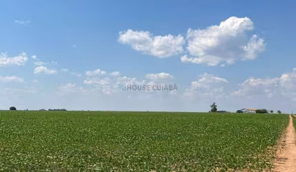 Área Rural Município de Vera MT