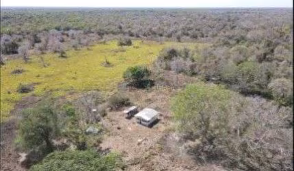 Fazenda à venda na Fazenda Poconé, 1, Zona Rural, Poconé, 1200 m2 por R$ 11.380.000