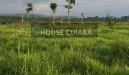 FAZENDA PARA VENDA NO PARÁ