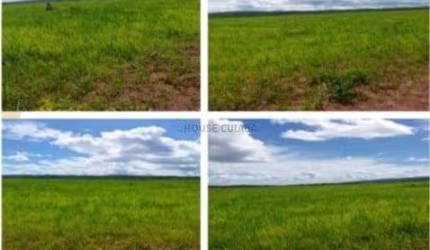 FAZENDA A VENDA DE 10.617 HECTARES EM NOBRES - MT