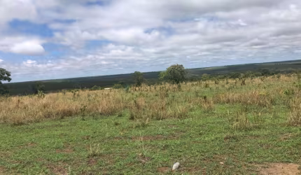 Fazenda à venda na Fazenda em nova Xavantina, 1, Zona Rural, Cuiabá, 100 m2 por R$ 7.000.000