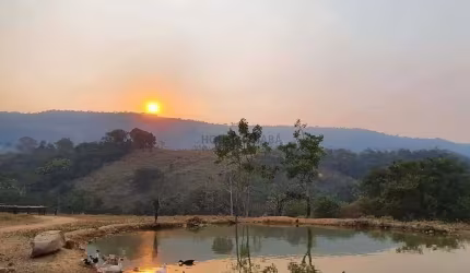 Oportunidade Fazenda Rio Branco MT