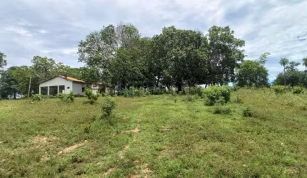 Oportunidade Investimento Fazenda Poconé
