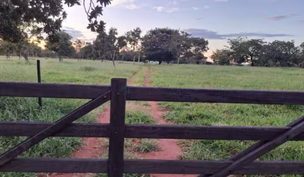Excelente Fazenda na região de Amorinópolis