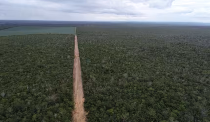 Oportunidade Fazenda Brasnorte