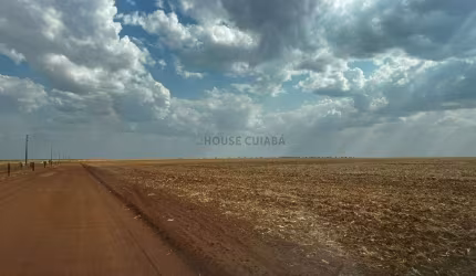 Oportunidade Fazenda Nova Xavantina- MT