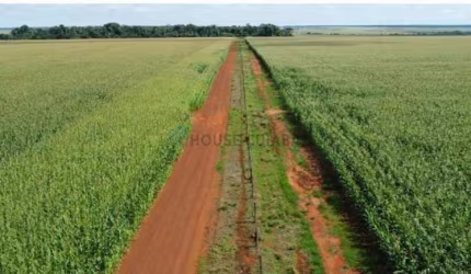 Oportunidade de Investimento Fazenda Brasnorte- MT