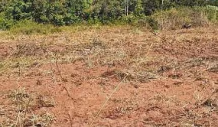 Oportunidade de Investimento Fazenda Barra do Bugres