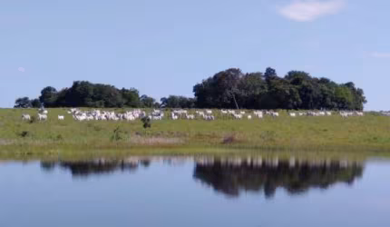Excelente Fazenda MUNICIPIO DE CRIXAS GOIAS