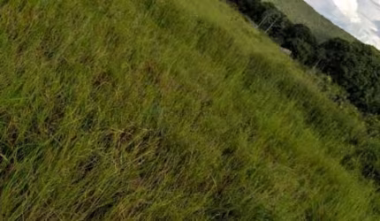 Excelente Fazenda Rosário Oeste