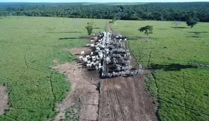 Fazenda à venda na Zona Rural, Paranatinga , 3 m2