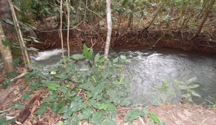 Venda Sítio em Campo Verde Porteira Fechada