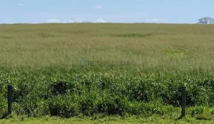 FAZENDA A VENDA PORTEIRA FECHADA ENTRE GUIRATINGA E TESOURO