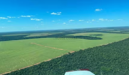 FAZENDA A VENDA EM NOVA MUTUM - MT