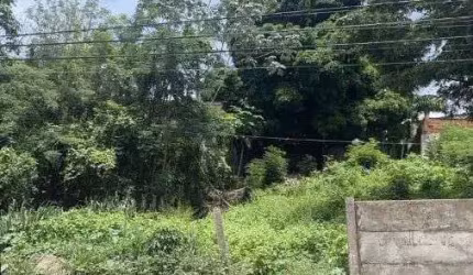 Terreno Bem Localizado no Bairro Quilombo