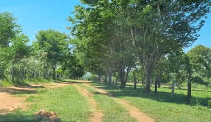 EXCELENTE FAZENDA  A VENDA EM CÁCERES