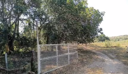 Vendo  Chácara Nossa Senhora da Guia