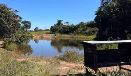 FAZENDA  NA REGIÃO DO  MANSO