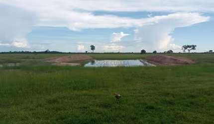 FAZENDA 517 HECTARES (entre livramento e o Pirizal)