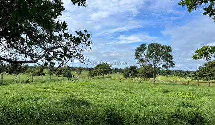 Sitio com 16 hectares, sendo 12 hectares formadas, 59 km da cidade de Várzea Gra