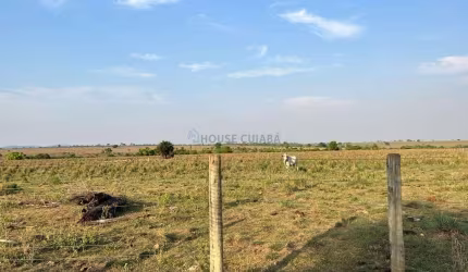 FAZENDA A VENDA EM VILA RICA-MT COM 12.900 HECTARES