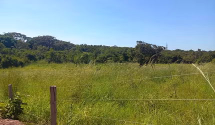 chácara de 2,9 hectares toda no cerradão bruto sem benfeitorias, toda cercada