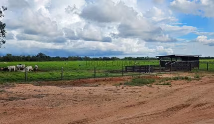 FAZENDA  SAO VICENTE  A VENDA