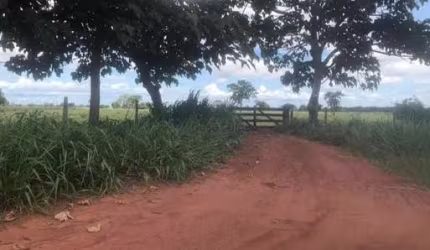SITIO 60 HECTARES 13 KM DE PORTO ESPERIDIÃO-MT
