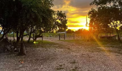 Vende-se Sítio Nossa Senhora do Livramento/MT