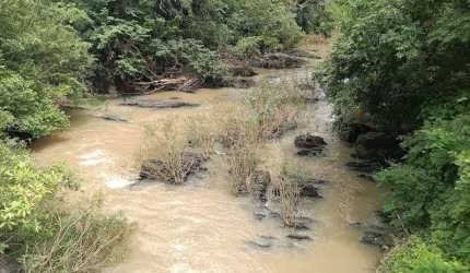 Sítio todo escriturado em dia de 24 hectares Jangada MT