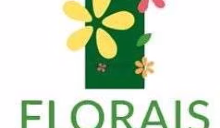 Oportunidade Ginco Florais da Mata