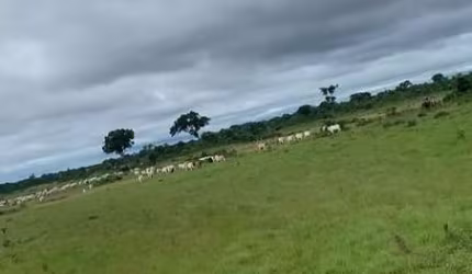 fazenda com 517 hectares na região entre a cidade de Nossa Senhora do Livramento