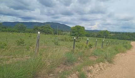 sitio na região do distrito da Guia 62,11 hectares
