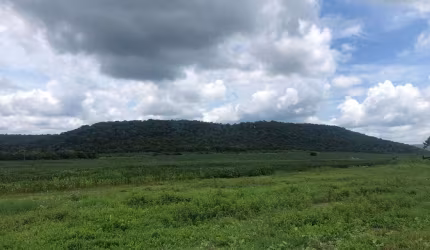 Fazenda  4.890 hectares  Pantanal.