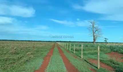 fazenda de 159 alqueires no município de Santa fé no estado de Goiás